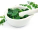 Hojas frescas de moringa